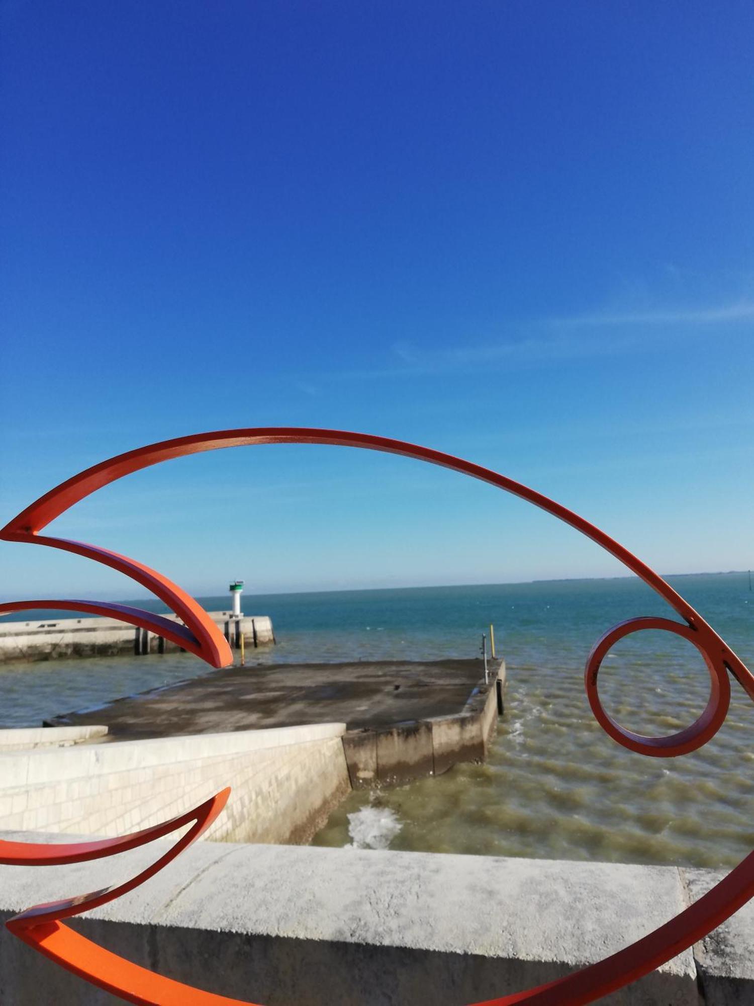 Coup De Coeur Studio Rivedoux-Plage Exteriör bild